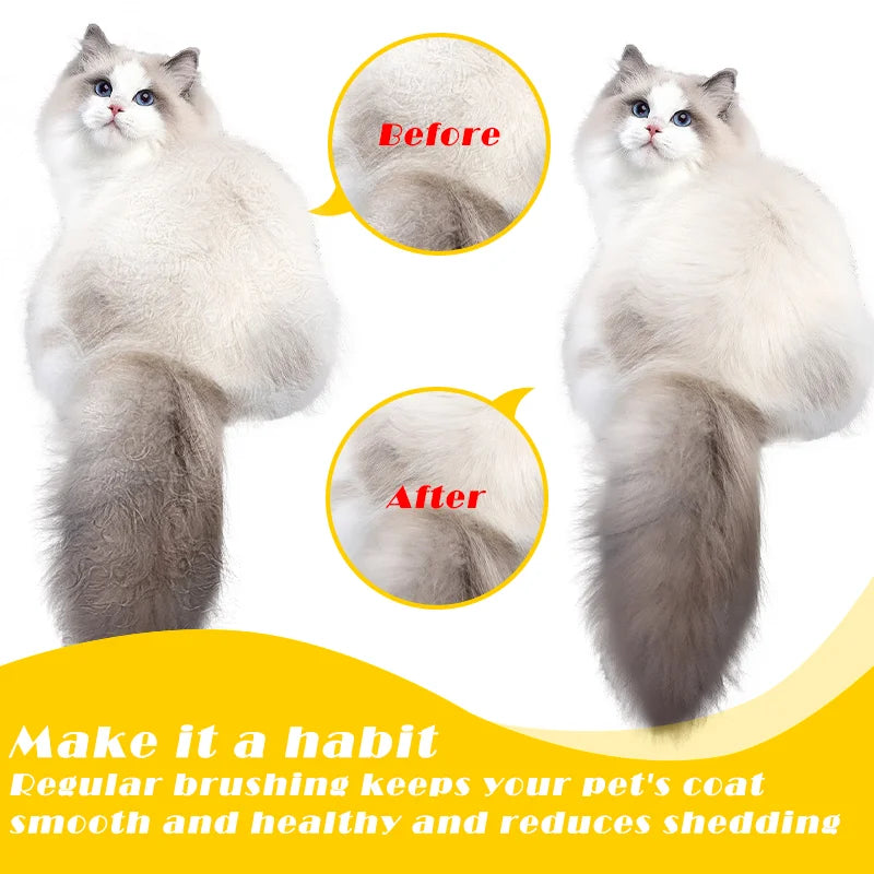 Pet Massage Comb with Electric Spray