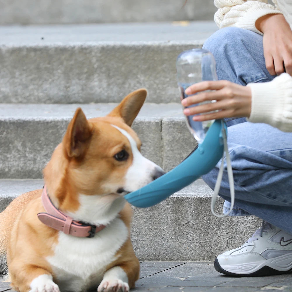 Portable dog waterer