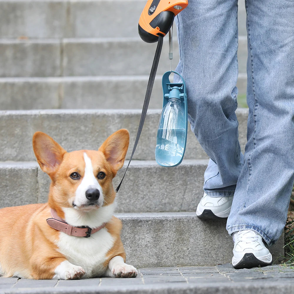 Portable dog waterer