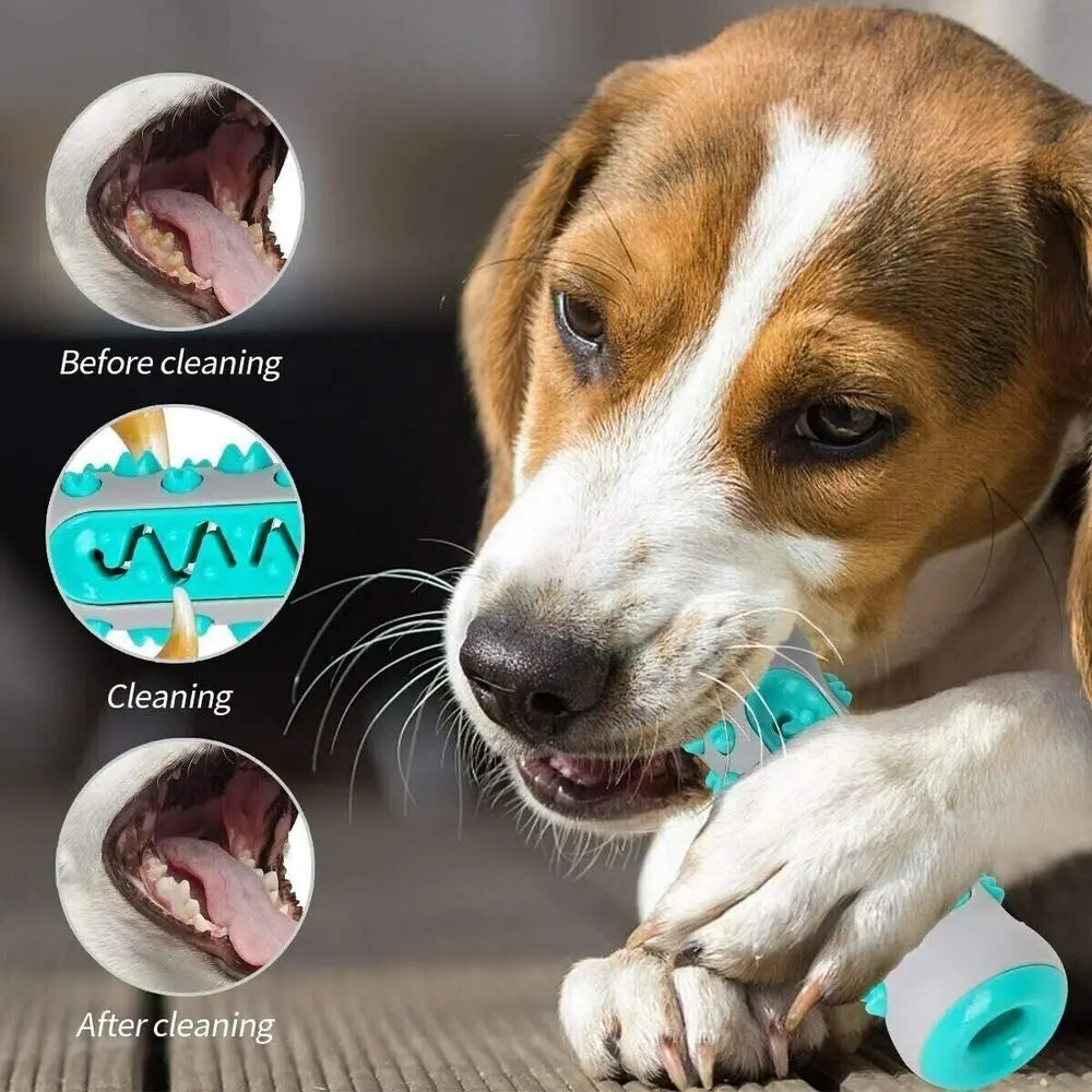 Denticão - Chewable Toy for Cleaning Dog Teeth