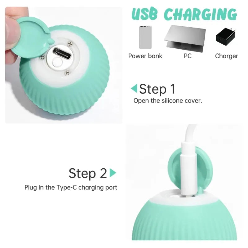 Automatic Cat Toy