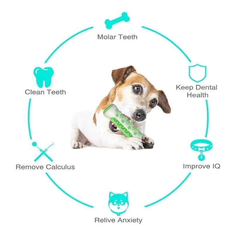 Denticão - Chewable Toy for Cleaning Dog Teeth