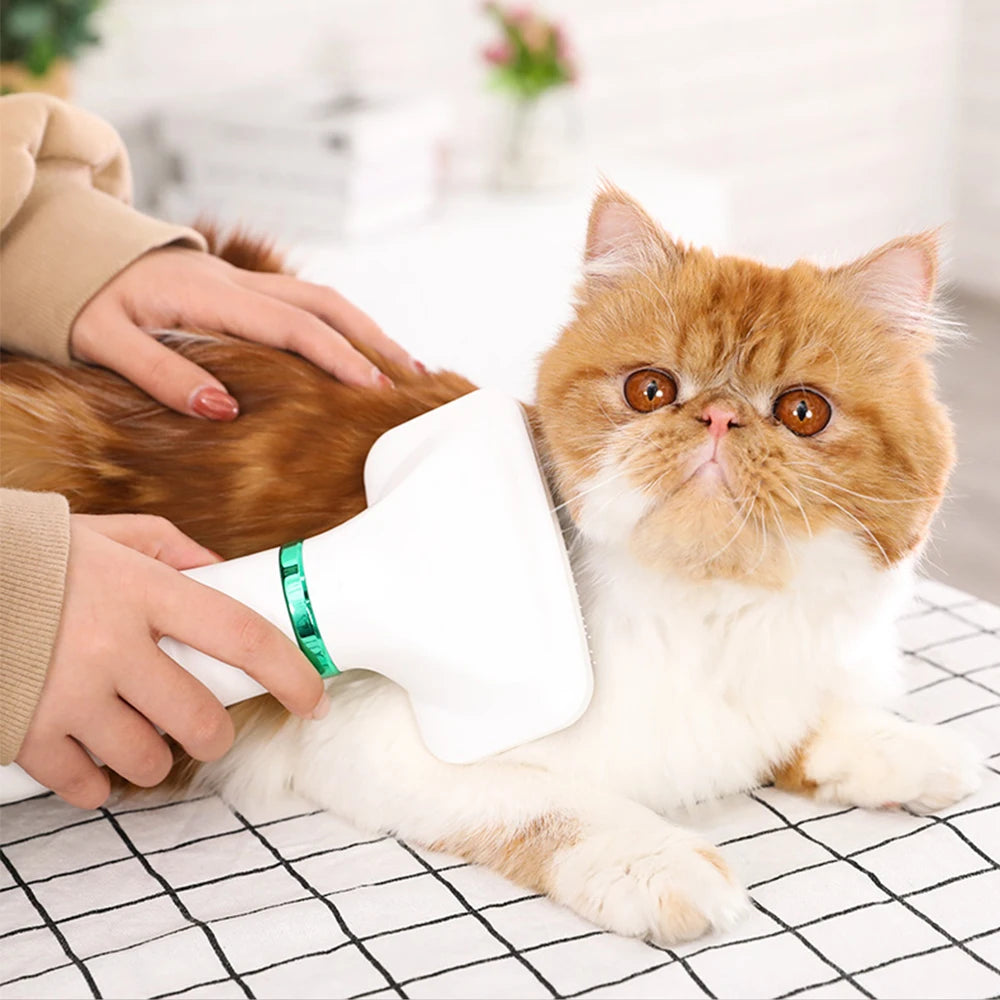 Pupty - Pet Hair Dryer