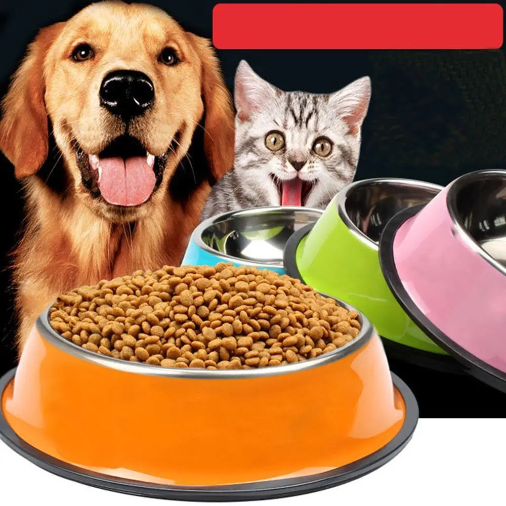 Metal Dish for Dogs