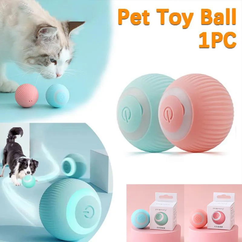 Automatic Cat Toy