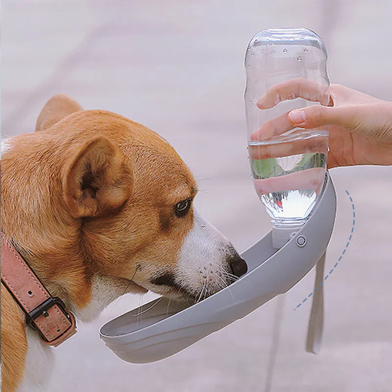 Portable dog waterer