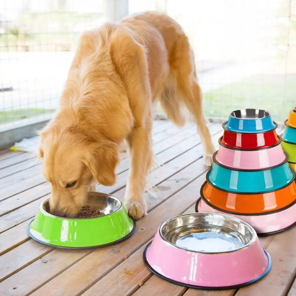 Metal Dish for Dogs